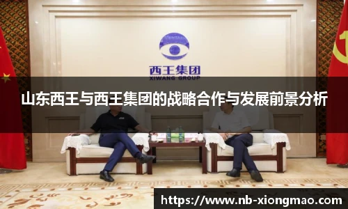 熊猫体育官网